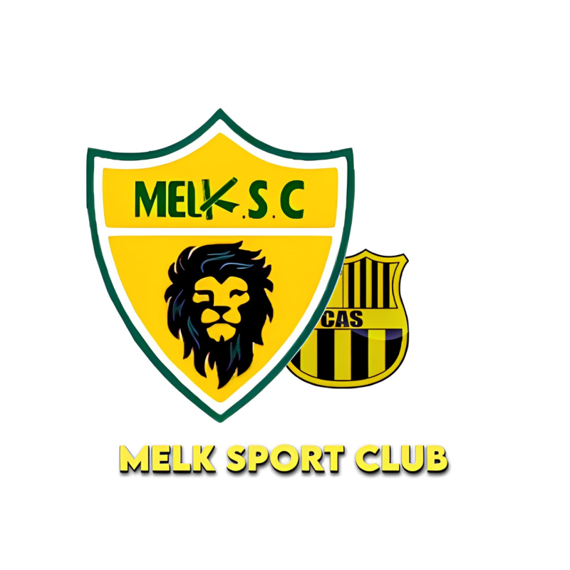Bandeira Melk Sport Club