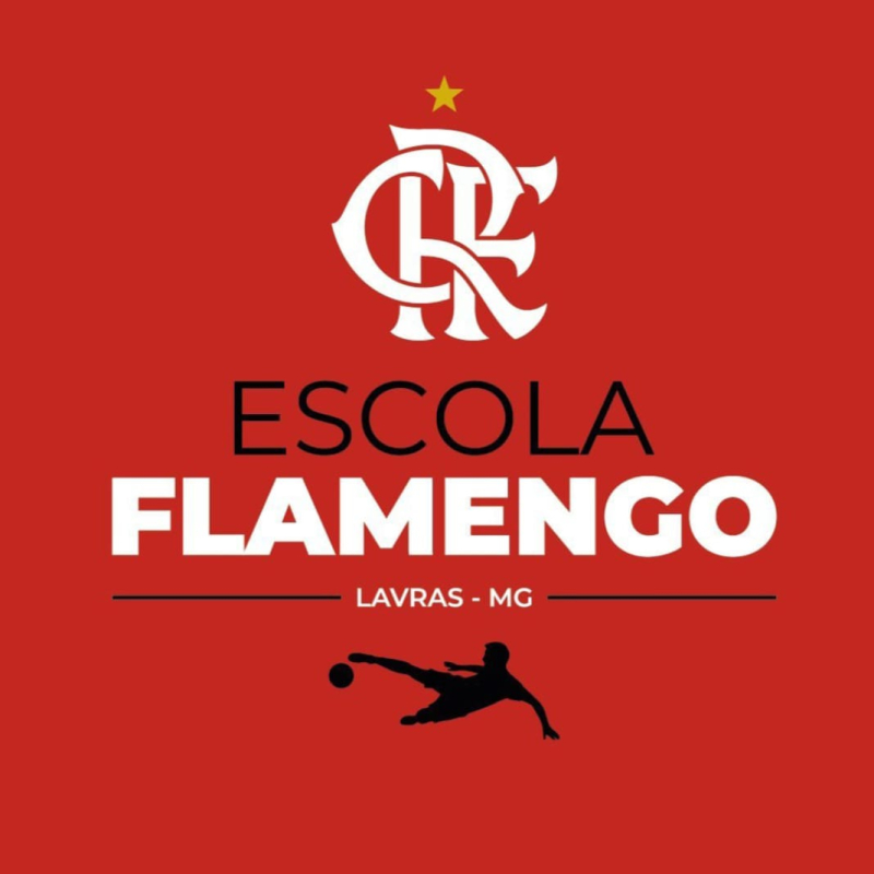 Bandeira Escola Flamengo de Lavras